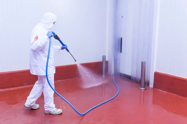 Best Restaurant Pressure Washing  in Killen, AL